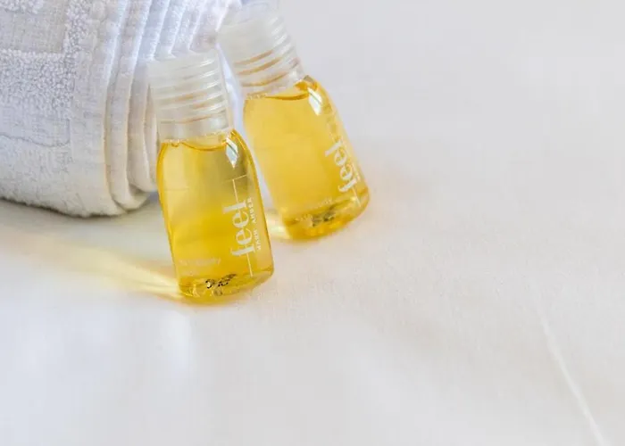 Lumina - Spacieux & Comfortable Dijon