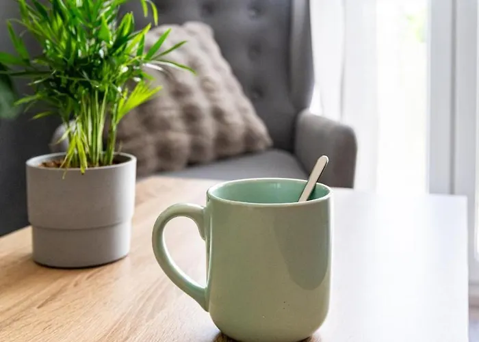 Apartment Lumina - Spacieux & Comfortable